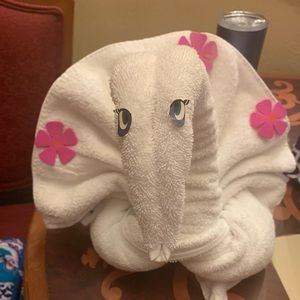 Meet your Posher, Anne